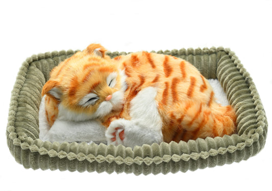 Perfect Petzzz - Waging/Puring Orange Tabby Cat-Yarrawonga Fun and Games