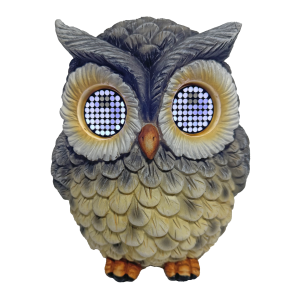 Solar Barn Owl with LCD Eyes-Yarrawonga Fun and Games