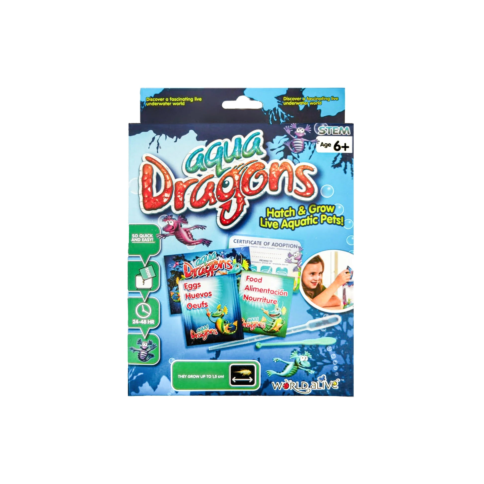 Aqua Dragons - Refill Pack-Yarrawonga Fun and Games