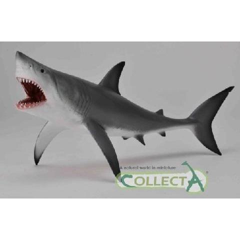 Collecta Great White Shark-Yarrawonga Fun and Games
