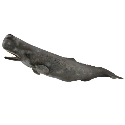 Collecta Sperm Whale-Yarrawonga Fun and Games