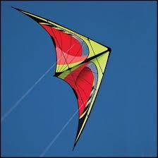 Delta Stunt Kite-Yarrawonga Fun and Games.