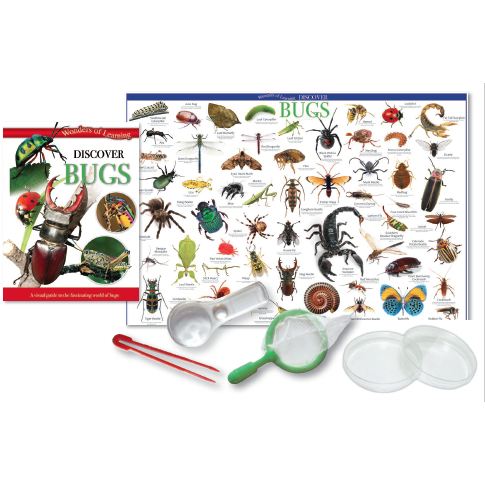 Discover Bugs-Yarrawonga Fun and Games