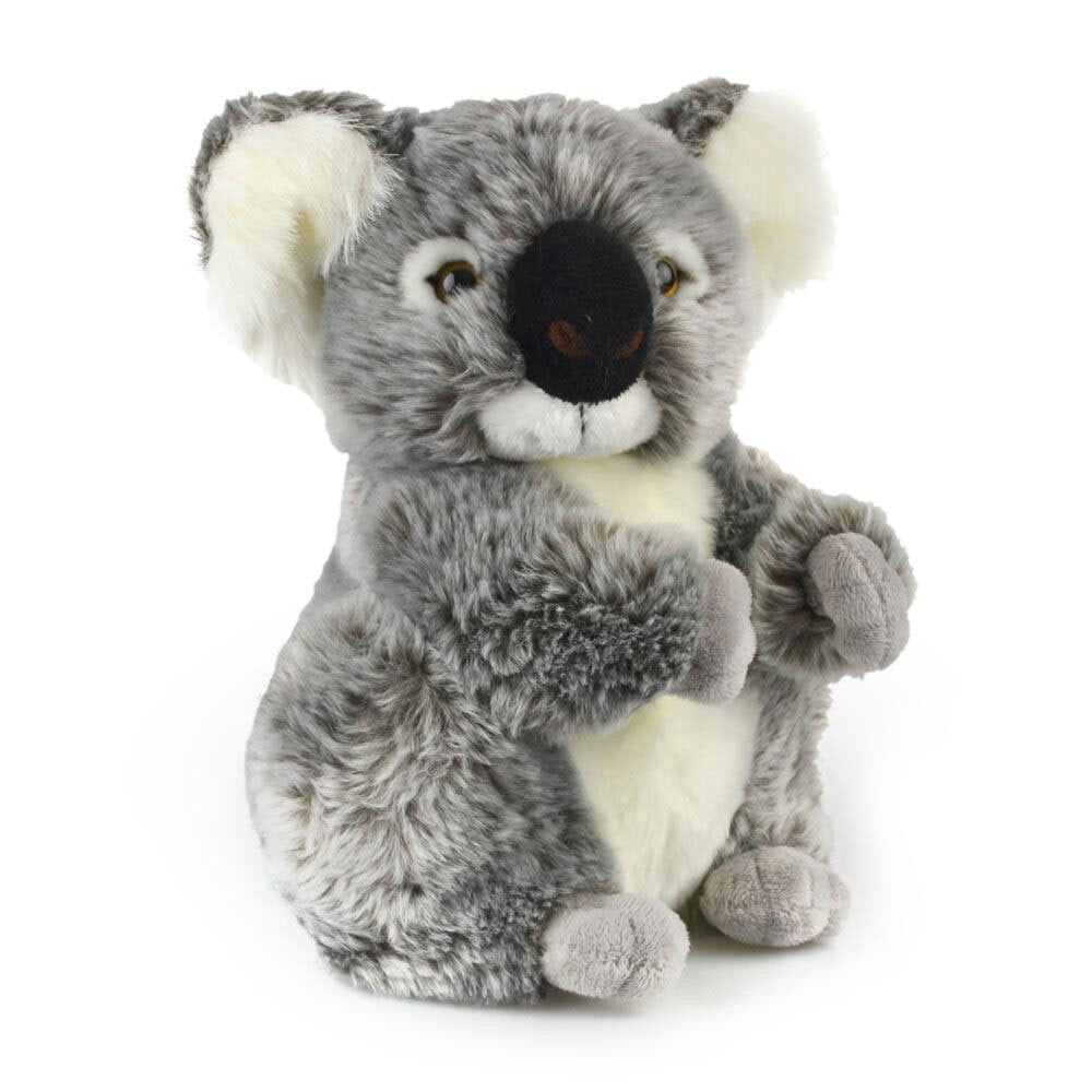 Koala Kalypso - 28cm-Yarrawonga Fun and Games