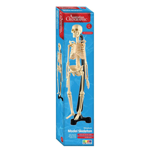 Model Skeleton - Australian Geographic-Yarrawonga Fun and Games