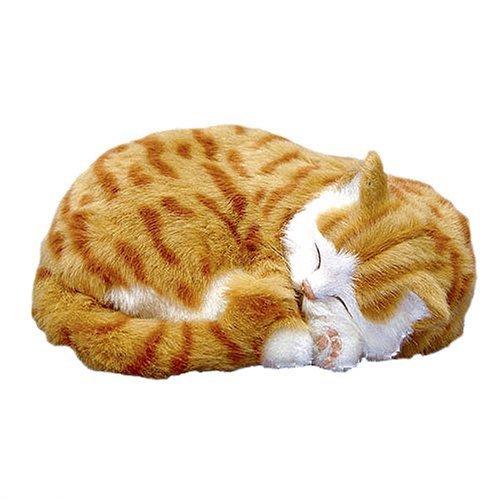 Perfect Petzzz - Orange Tabby Cat-Yarrawonga Fun and Games