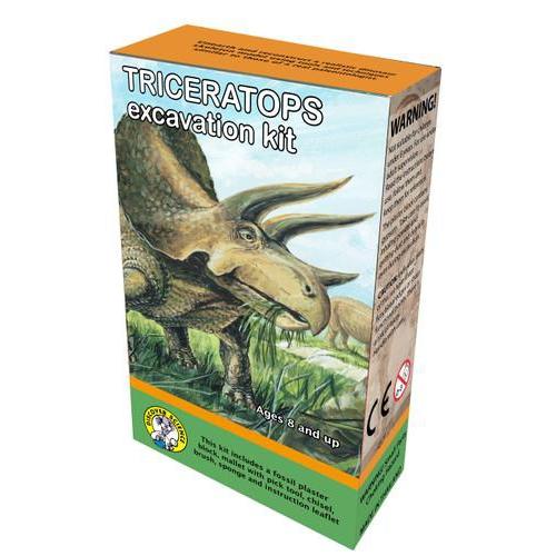Triceratops excavation Kit-Yarrawonga Fun and Games